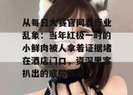 从每日大赛官网看行业乱象：当年红极一时的小鲜肉被人拿着证据堵在酒店门口，资深黑客扒出的底层数据！
